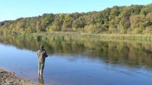 Switch Kola Salmon / Нахлыстовый заброс двуручником