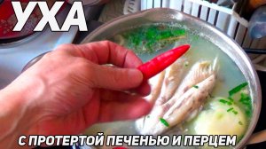 УХА из щуки,  с толченой ПЕЧЕНЬЮ, жиром и перцем