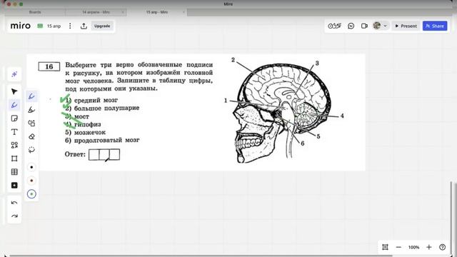 16 задание ОГЭ по биологии