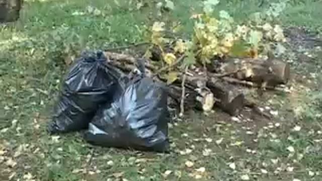 Чистота духовности смотреть онлайн