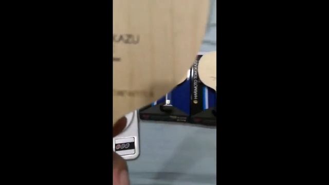 Weigh Blade Tomakazu Harimoto | Butterfly ALC смотреть онлайн