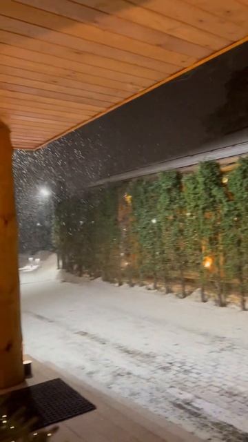 Питер, отель Бор 812 смотреть онлайн