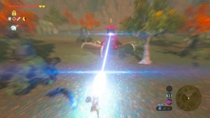 The Legend of Zelda: Breath of the Wild Сезон охоты: Страж