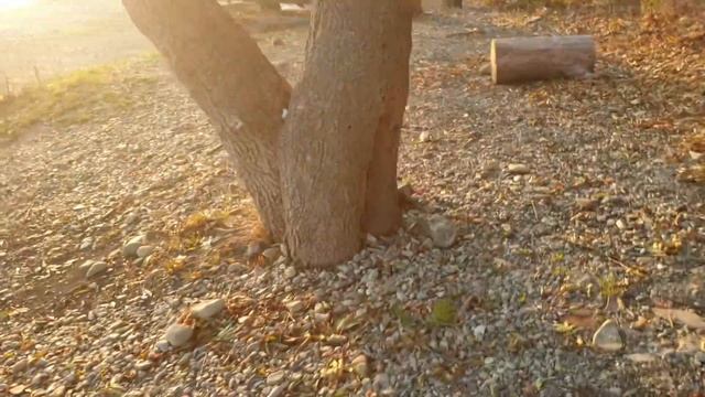 Место 2К смотреть онлайн