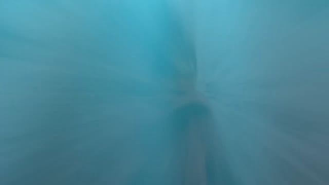 Полина гуляет в лесу и вспоминает лето | Travel in time by Polya Kids TV смотреть онлайн