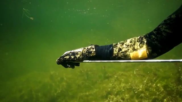 Обучение подводной охоте в школа подводной охоты 'Сталкер' смотреть онлайн