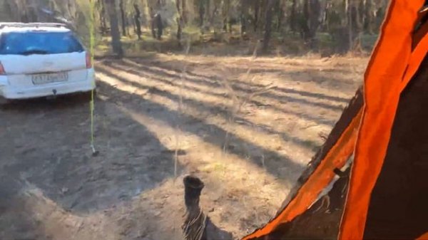 Небольшой обзор кемпинговой палатки - Outwell Lanai Reef