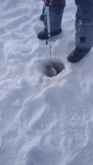 трофей.... Вазуза смотреть онлайн