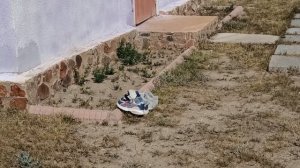 В Кыргызстан на машине из России. Озеро Иссык-Куль, горы, пляж, отпуск 2024. Природа Казахстана