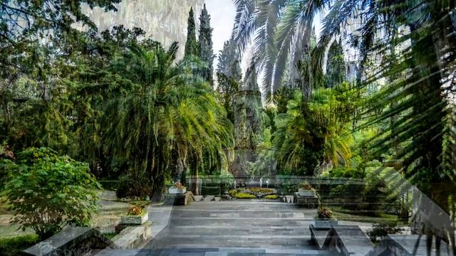 Дендрарий Сочи смотреть онлайн