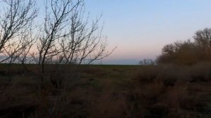 охота на гуся на перелете 2025