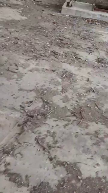 Водозаборная башня Сызрань смотреть онлайн