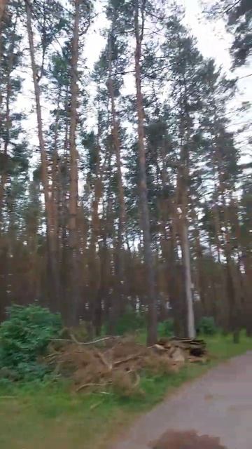 парк отель смотреть онлайн