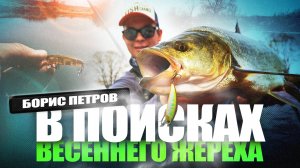 Как ловить жереха весной на спиннинг! Рыбалка в апреле! Воблеры на жереха!