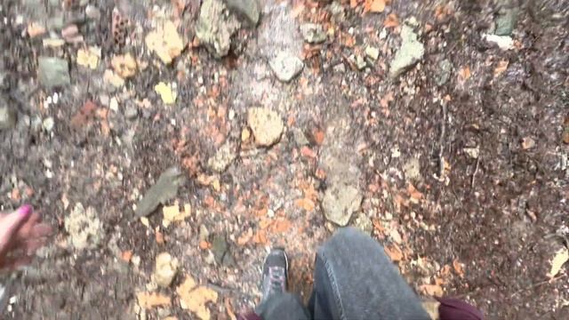 Vlog | ВЫХОДНЫЕ В ГЕРМАНИИ | ПОЕЗДКА НА ОЗЕРО смотреть онлайн