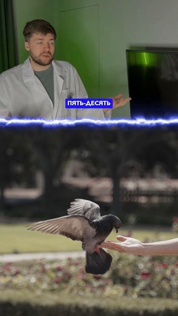 Почему жужжит муха?
Запись на Курс в ТГ: globalee_phys смотреть онлайн