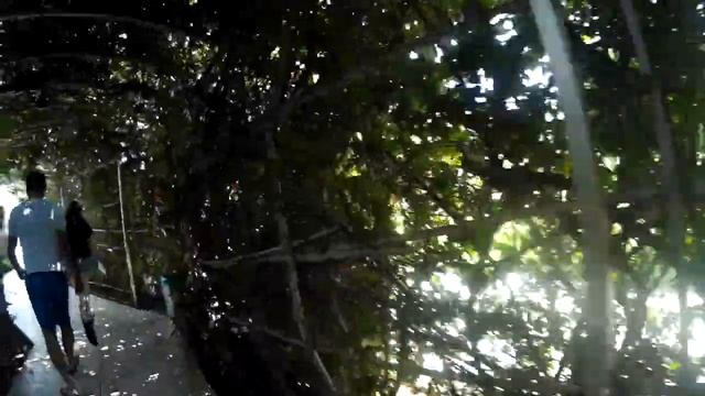 Обзор отеля DAIMA BIZ RESORT 5* (Кемер) Турция смотреть онлайн