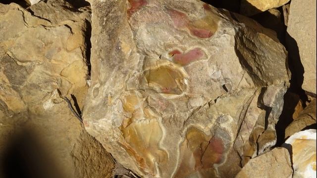 Видеоролик "река Рагуша" (от 12.05.2018) смотреть онлайн