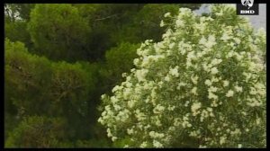 Непутевые заметки 08.08.1999