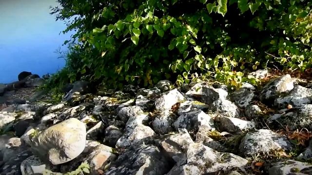 В Калязинском районе в разгаре туристический сезон смотреть онлайн