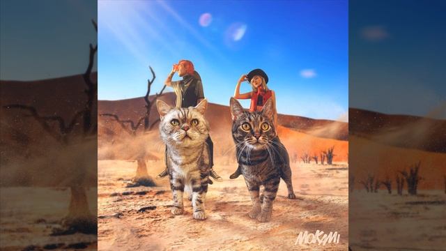 ... и сорвало крышу смотреть онлайн