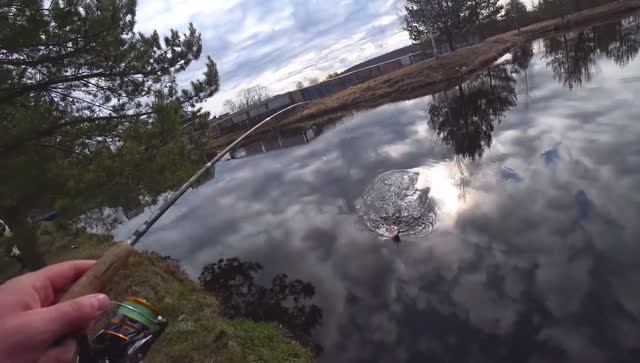 Рыбалка.Ловля щуки на спиннинг.Поплавочная рыбалка на карпа.Ловля карпа и щуки. смотреть онлайн