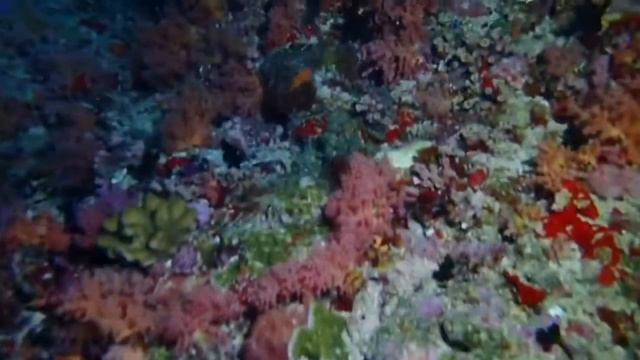 Мальдивы 2019. смотреть онлайн