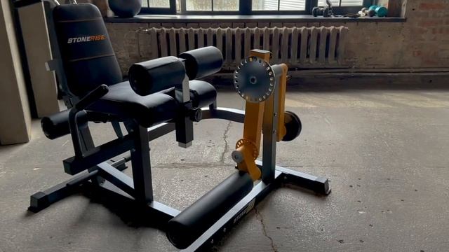 Тренажер для сгибания-разгибания ног STONERISE DTRAINER смотреть онлайн