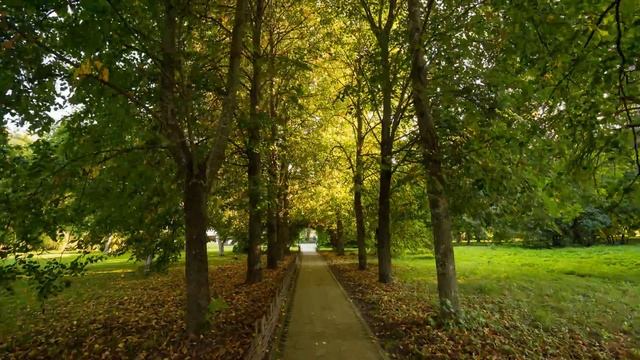 Окрестности Луховиц, Timelapse смотреть онлайн