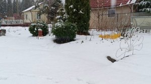 Весна в Карелии 23 апреля 2025 г