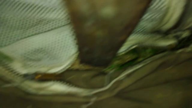 🌙 ночь в уютной палатке! смотреть онлайн