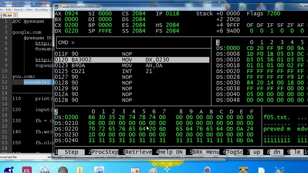 as005 Assembler работа с консолью и файлами смотреть онлайн