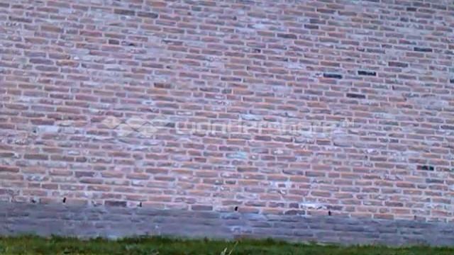 SCR3WD: Dance, Trampoline смотреть онлайн