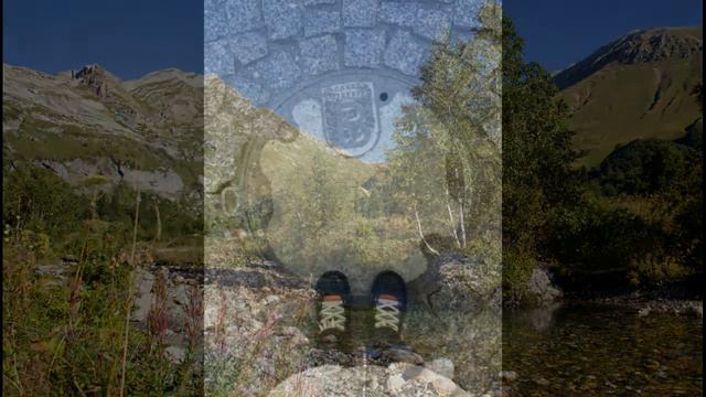 Фотоконкурс 2020 смотреть онлайн