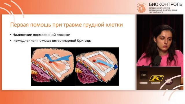 Первая помощь собакам и кошкам смотреть онлайн