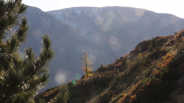 Музыка каменных грибов смотреть онлайн