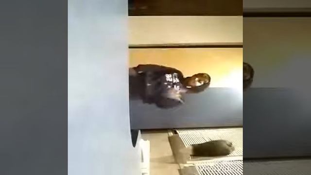 Скер Скер В Мертвых Найках смотреть онлайн