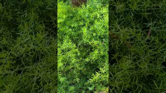 Как построить отношения? смотреть онлайн