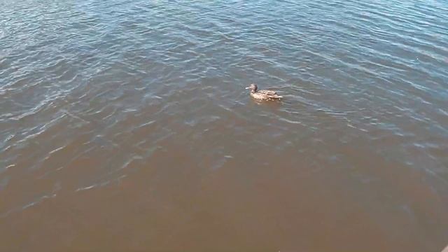 Восхитительный день 🌈.Часть 2. смотреть онлайн