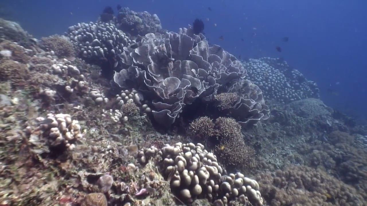 Philippines 01 смотреть онлайн