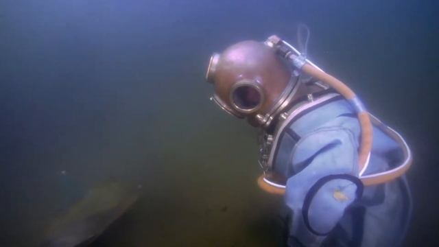 Водолазное сафари смотреть онлайн