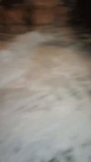 Кошачий #матриархат В одном дворе кошки живут все под ?