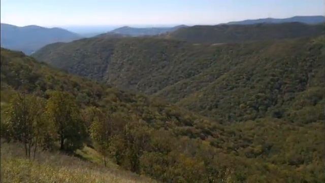 ПРОГУЛКИ В ГЕЛЕНДЖИКЕ 6 смотреть онлайн