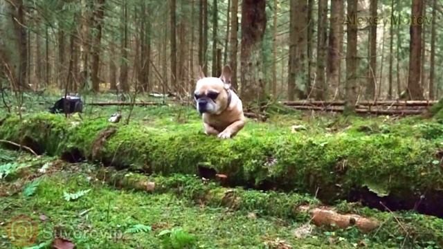 Замедленная съемка 1000 Fps / Super Slow Motion 1000 Fps