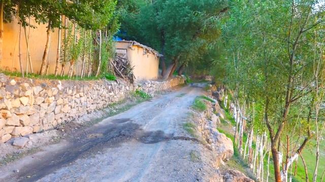 Водии Ҳафткӯл. Панҷакент @U.S. Embassy Dushanbe смотреть онлайн