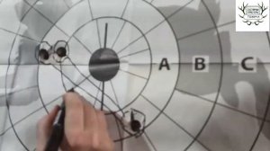 Моя самая любимая охотничья пуля!!! Отстрел калиберной пули ШШ на 50 метров с упора. Progress 0,25.