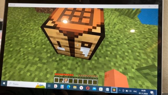 играю в майнкрафт на компе