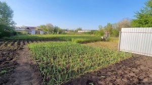 ✨️Работа спорится...Деревенская жизнь ❤️