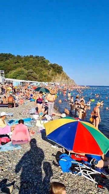 Геленджик. хутор Бетта 04.08.23 смотреть онлайн