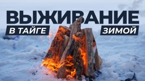 Что делать, если заблудился в тайге зимой? Ошибки, которые могут стоить жизни | Факты